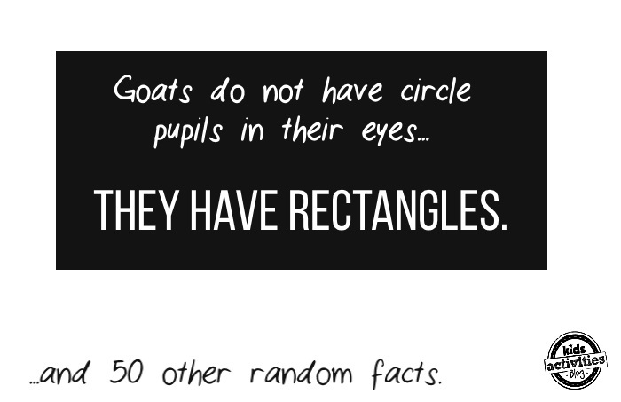 50 random facts you probably don't believe are true - goats do not have circle pupils in their eyes they have rectangles - Kids Activities Blog