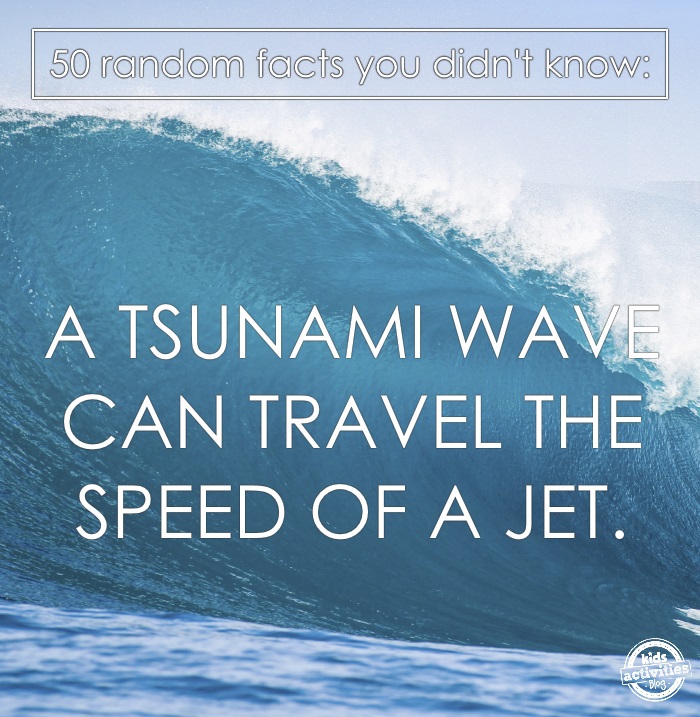 a tsnuami wave makes a great science fact of the day