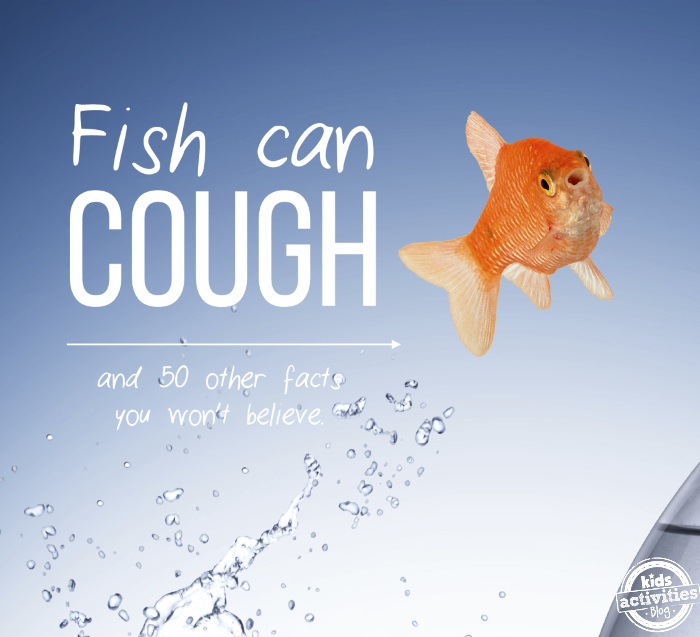 cool kid facts you won't believe - fish can cough - gold fish in water - Kids Activities Blog