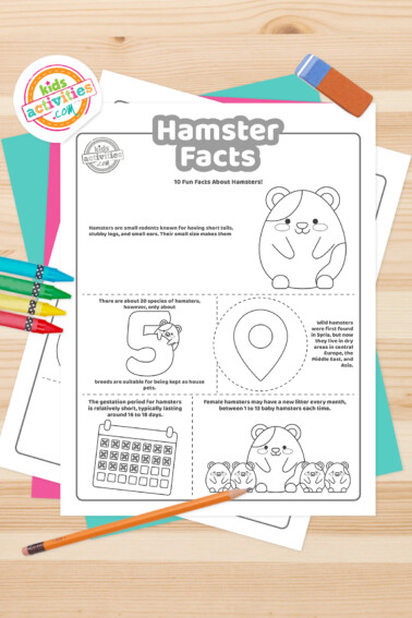 Black and white coloring pages with hamster facts lying on top of a blue-green sheet with multicolored letters on a light brown background.
