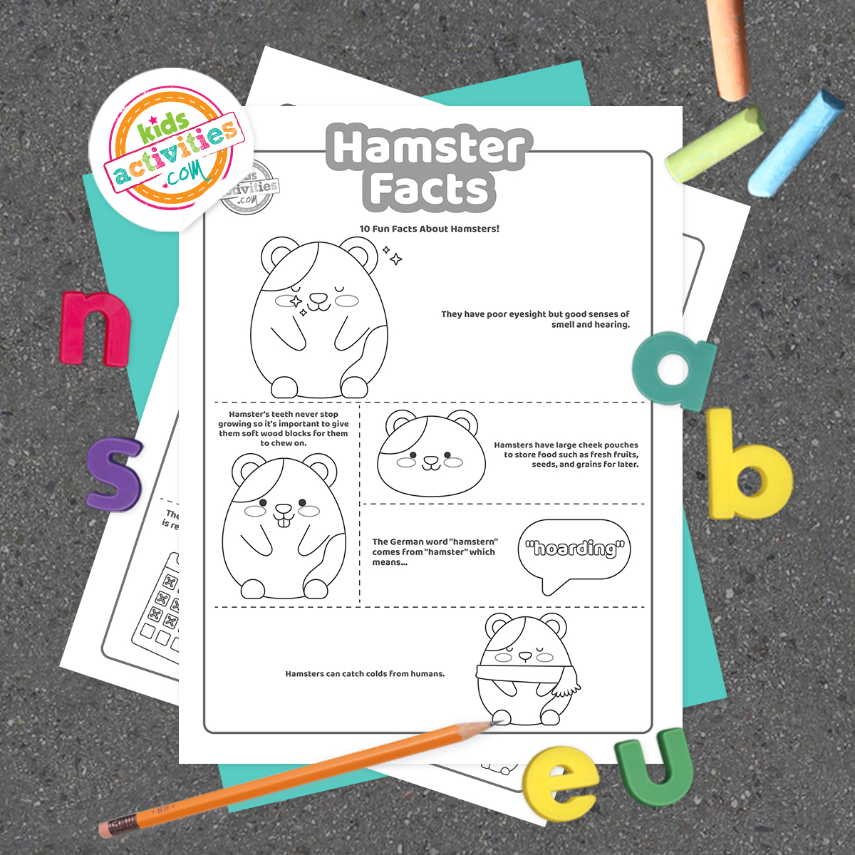Black and white coloring pages with hamster facts lying on top of a blue-green sheet with multicolored letters on a light wood background.