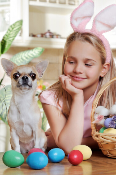 Indoor Easter Egg Hunt Ideas for Kids and maybe dogs - Kids Activities Blog
