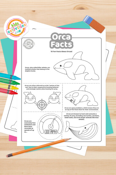 Black and white coloring pages with orca facts lying on top of a blue-green sheet with multicolored letters on a light brown background.
