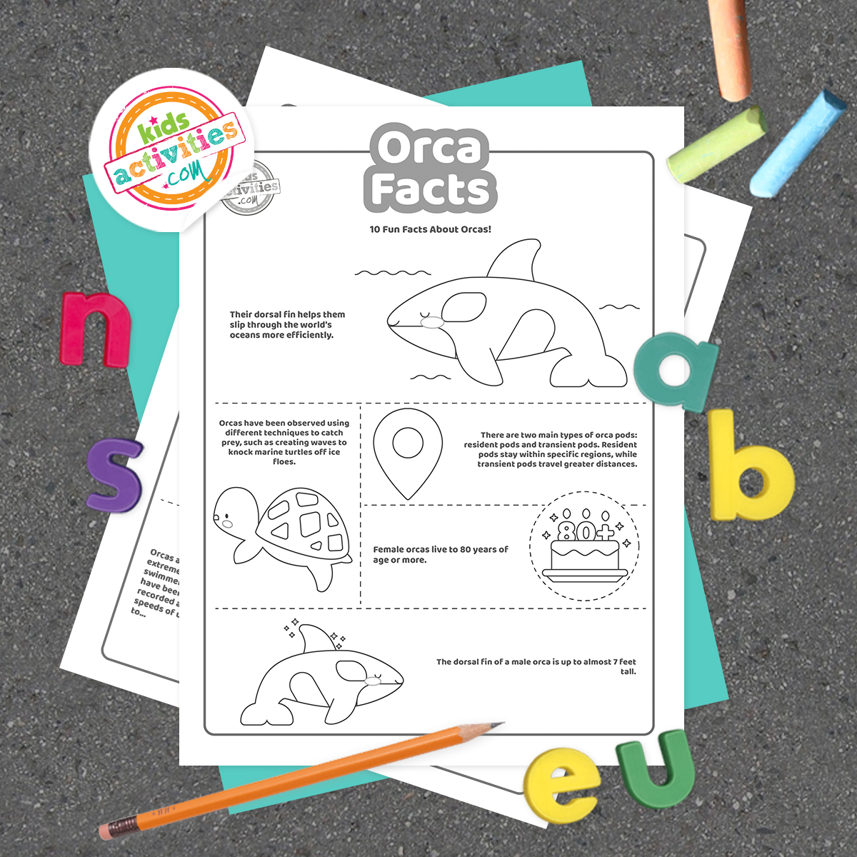 Black and white coloring pages with orca facts lying on top of blue-green and purple sheets with assorted crayons on a dark grey background.
