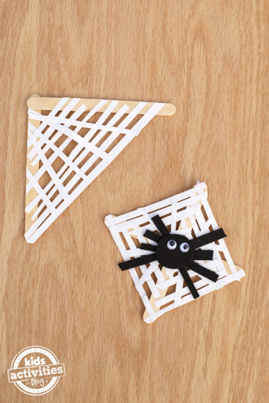 Paper Strip Spider Web