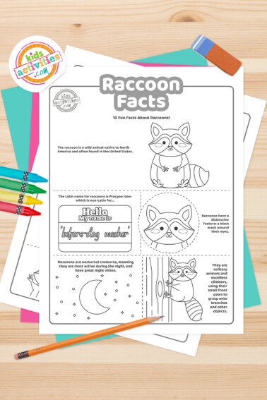 Black and white coloring pages with raccoon facts lying on top of a blue-green sheet with multicolored crayons on a light brown background.