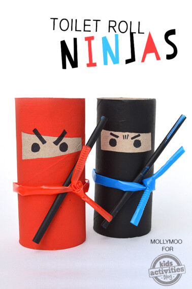 toilet roll ninjas