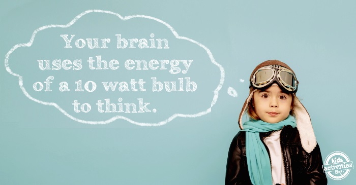 your brain uses energy & other silly science facts for kids