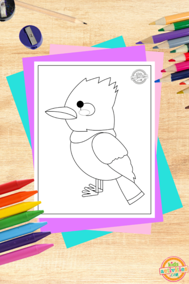 Kookaburra coloring page pdf file on wooden background with coloring supplies- kids activities blog
