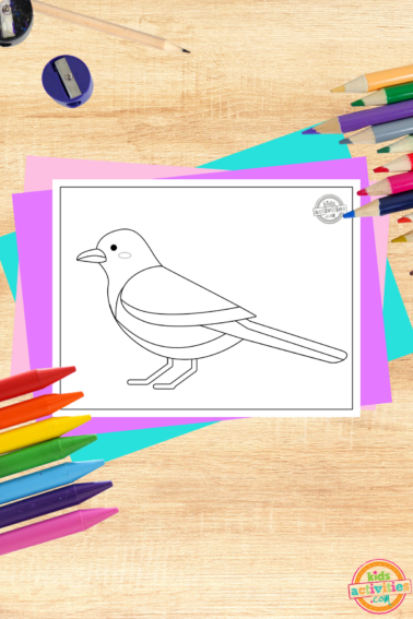 Magpie Coloring Page printed pdf file on wooden background with coloring accessories- kids activities blog
